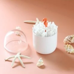 Qualy Design Rangements Salle De Bain Boite à Coton-tiges Hippocampe -Rangements déco Soldes boite a coton tiges hippocampe 4