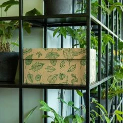 Dutch Design Brand Boîtes Boite De Rangement Natural Leaves 39,5x32x21cm Carton Naturel 13 Dutch Design Brand Boîtes Boite De Rangement Natural Leaves 39,5x32x21cm Carton Naturel -Rangements déco Soldes boite de rangement natural leaves 39 5x32x21cm carton naturel 5