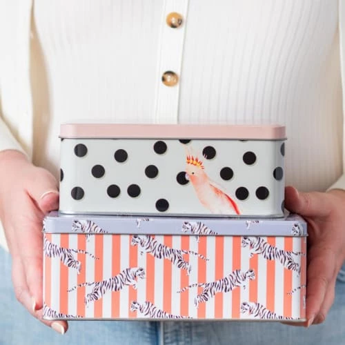 Yvonne Ellen Lot De 2 Boîtes Rectangulaires En Métal 6 Yvonne Ellen Lot De 2 Boîtes Rectangulaires En Métal – Image 4