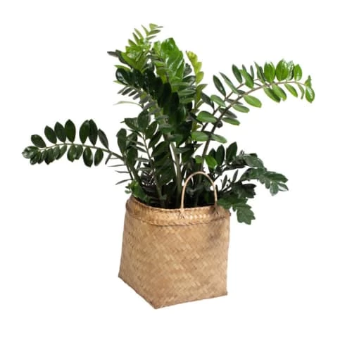 HYDILE Paniers à Linge Panier En Bambou H44 Avec Hanse 4 HYDILE Paniers à Linge Panier En Bambou H44 Avec Hanse – Image 2